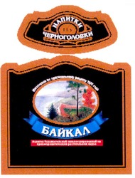Свідоцтво торговельну марку № 143938 (заявка m201109024): напитки из черноголовки; байкал
