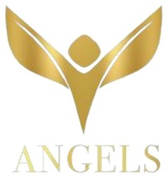 Заявка на торговельну марку № m202515714: angels