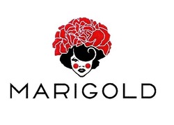 Свідоцтво торговельну марку № 326835 (заявка m202023540): marigold