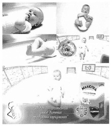 Заявка на торговельну марку № m201710484: eko; малютка; тов хорольський завод дитячих продуктів харчування; еко баланс