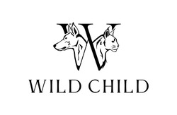 Заявка на торговельну марку № m202306138: wild child