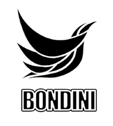 Заявка на торговельну марку № m202104061: bondini