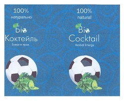 Заявка на торговельну марку № m201202785: 100% натурально; біо коктейль; енергія трав; bio cocktail; herbal energy