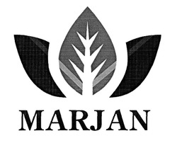 Свідоцтво торговельну марку № 315482 (заявка m201926569): marjan