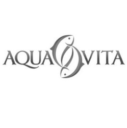 Свідоцтво торговельну марку № 239400 (заявка m201714218): aqua vita