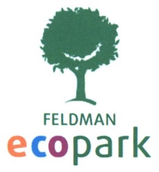Свідоцтво торговельну марку № 224827 (заявка m201517133): feldman ecopark
