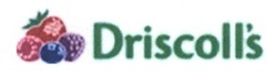 Свідоцтво торговельну марку № 226443 (заявка m201524007): driscoll's; driscolls