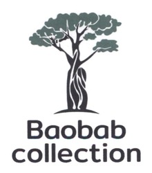 Заявка на торговельну марку № m202411575: baobab collection