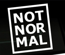 Заявка на торговельну марку № m202519270: not normal; not nor mal