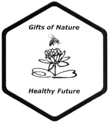 Свідоцтво торговельну марку № 298039 (заявка m201909043): gifts of nature; healthy future