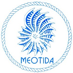 Свідоцтво торговельну марку № 37181 (заявка 2002042938): мєотіда; меотіда; meotida
