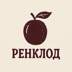 Заявка на торговельну марку № m202516298: ренклод