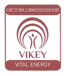 Заявка на торговельну марку № m201629562: vikey; vital energy; система самолікування