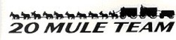 Свідоцтво торговельну марку № 15452 (заявка 96010172): 20 mule team