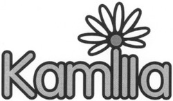 Заявка на торговельну марку № 20031010964: kamilla