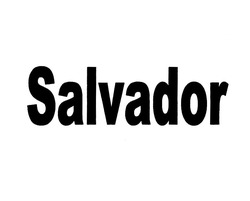 Заявка на торговельну марку № m202010936: salvador