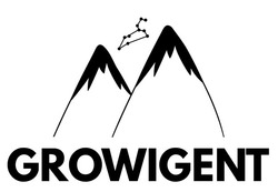 Заявка на торговельну марку № m202518213: growigent