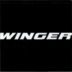 Свідоцтво торговельну марку № 345358 (заявка m202206938): winger