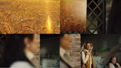 Заявка на торговельну марку № m202113886