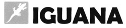 Свідоцтво торговельну марку № 226433 (заявка m201523824): iguana