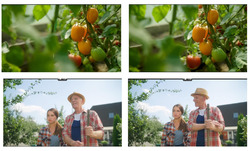 Заявка на торговельну марку № m202508524