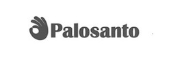 Свідоцтво торговельну марку № 307157 (заявка m202104974): palosanto