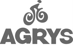 Заявка на торговельну марку № m202516202: agrys