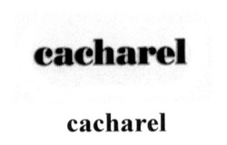 Заявка на торговельну марку № m201320950: cacharel