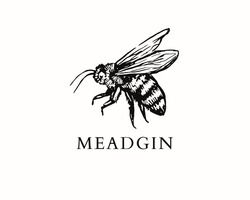 Заявка на торговельну марку № m202513763: meadgin