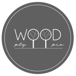 Заявка на торговельну марку № m202307218: ply wood pro