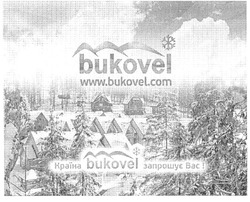 Заявка на торговельну марку № m200917745: www.bukovel.com; країна bukovel запрошує вас!
