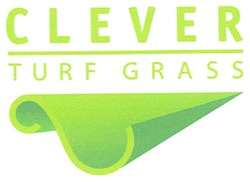 Заявка на торговельну марку № m200801659: clever; turf grass