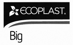 Свідоцтво торговельну марку № 300417 (заявка m201918339): ecoplast.; big