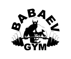 Свідоцтво торговельну марку № 351794 (заявка m202302841): babaev gym