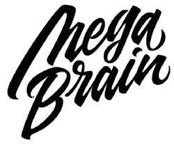 Свідоцтво торговельну марку № 314237 (заявка m202010104): mega brain
