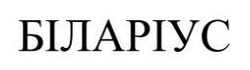 Заявка на торговельну марку № m202522520: біларіус