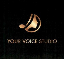 Свідоцтво торговельну марку № 301781 (заявка m201914855): your voice studio