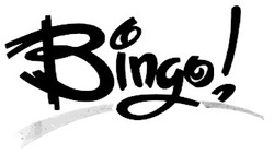 Заявка на торговельну марку № 94020741: віпдо bingo