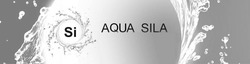 Свідоцтво торговельну марку № 289175 (заявка m201824310): si aqua sila