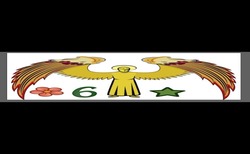 Заявка на торговельну марку № m202520671: 6