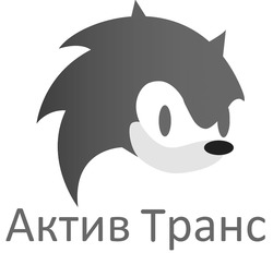 Заявка на торговельну марку № m202517934: актив транс