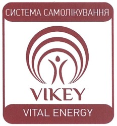 Свідоцтво торговельну марку № 251804 (заявка m201706430): vikey; vital energy; система самолікування