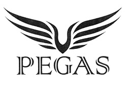 Свідоцтво торговельну марку № 316861 (заявка m202005468): pegas