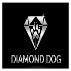 Заявка на торговельну марку № m202521784: diamond dog
