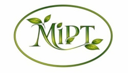 Заявка на торговельну марку № m202604826