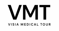 Заявка на торговельну марку № m202513164: visia medical tour; vmt