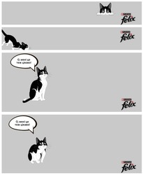 Заявка на торговельну марку № m202517353: о мені це теж цікаво!; felix; purina