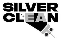 Заявка на торговельну марку № m202313756: silver clean
