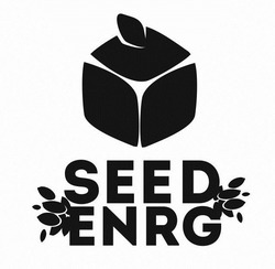 Свідоцтво торговельну марку № 293440 (заявка m201830168): seed enrg
