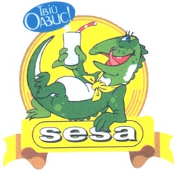 Свідоцтво торговельну марку № 43313 (заявка 2002097951): sesa; твій оазис